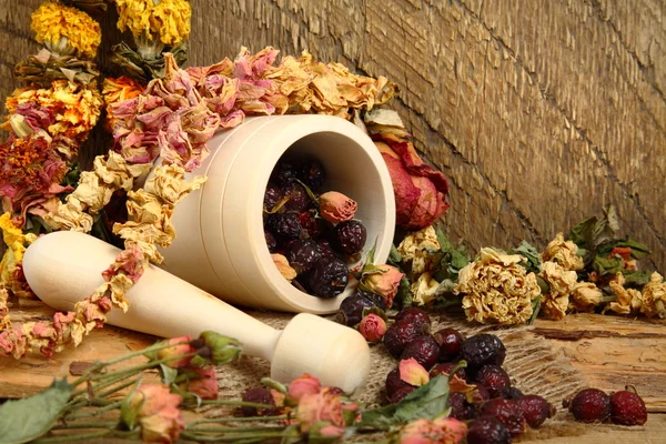 stock image Wooden mortar, dog rose and dried flowers