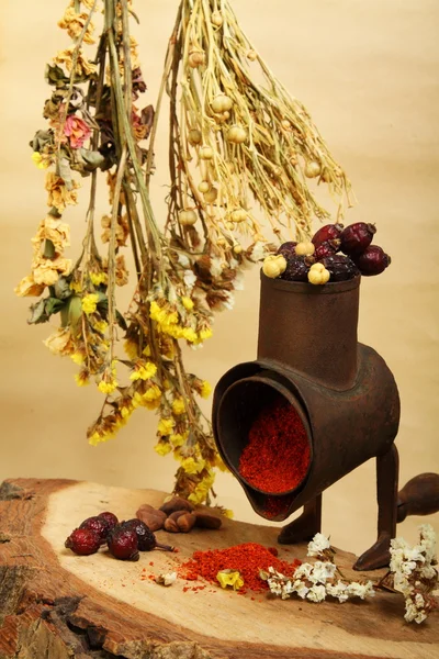 Ancien moulin à main, épices et fleurs sèches — Photo