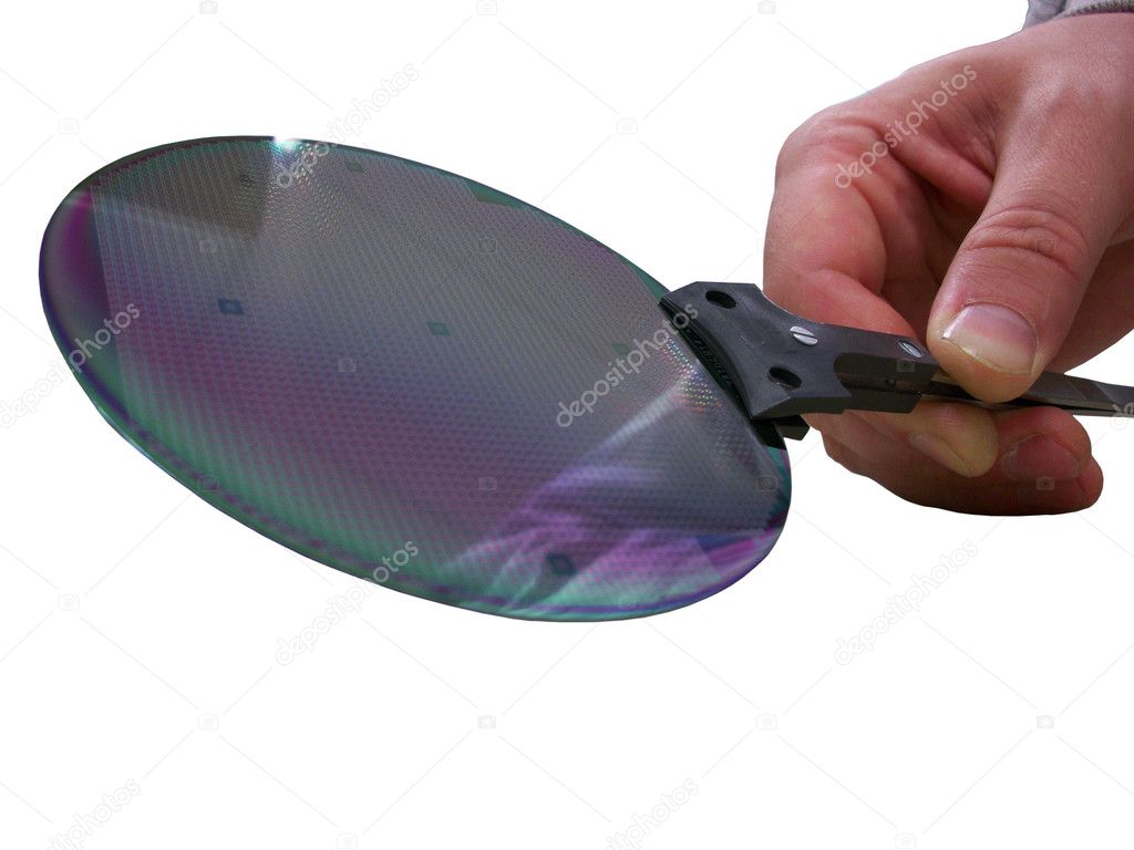 Silicon wafer on a tweezers