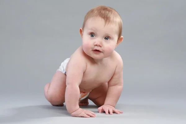 Little Boy Pampers Crawling Grey Background — Stock Photo, Image