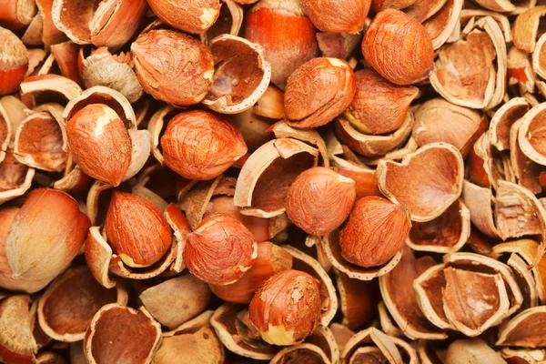 Skořápce ze dřeva ořechy a oříšky — Stock fotografie