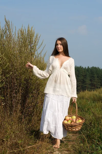 Rural women's portrait with basket of apples — Stock Photo, Image