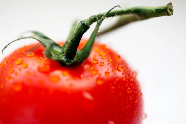 水の滴を新鮮な赤いトマト — ストック写真