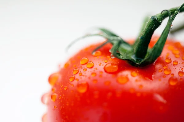 Tomate rojo fresco con gotas de agua — Foto de Stock