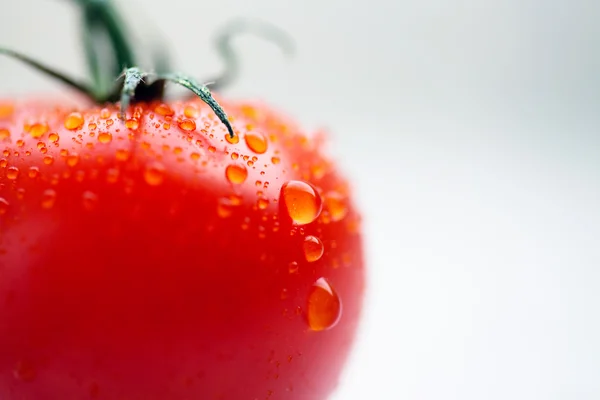 Fresh red tomato with water drops — Stock Photo, Image