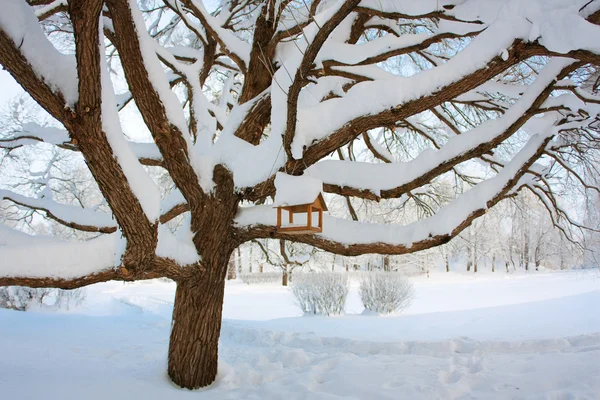 Inverno, cocho de alimentação de pássaros em uma árvore — Fotografia de Stock