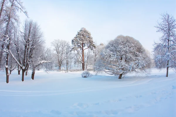 雪景 — 图库照片