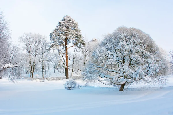 Sneeuwlandschap — Stockfoto