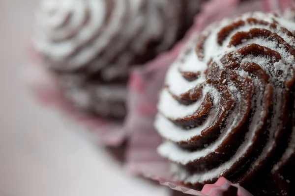 Шоколадный торт с сахарной пудрой — стоковое фото