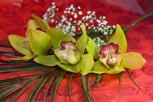 Ramo de orquídeas — Foto de Stock