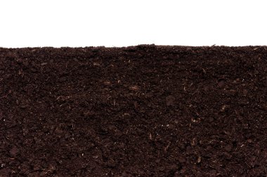 Close-up of organic soil. Can be used as background. clipart