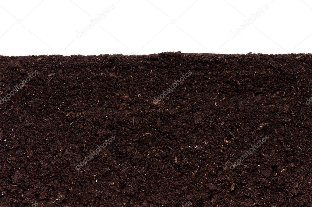 Close-up of organic soil. Can be used as background.