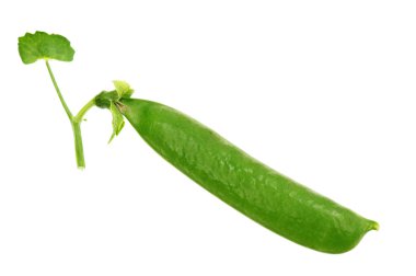 Pea pod clipart