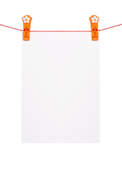 White blank — Stock Photo, Image