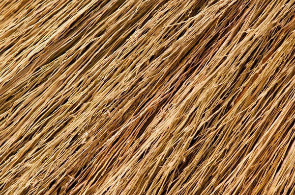 Текстура метлы — стоковое фото