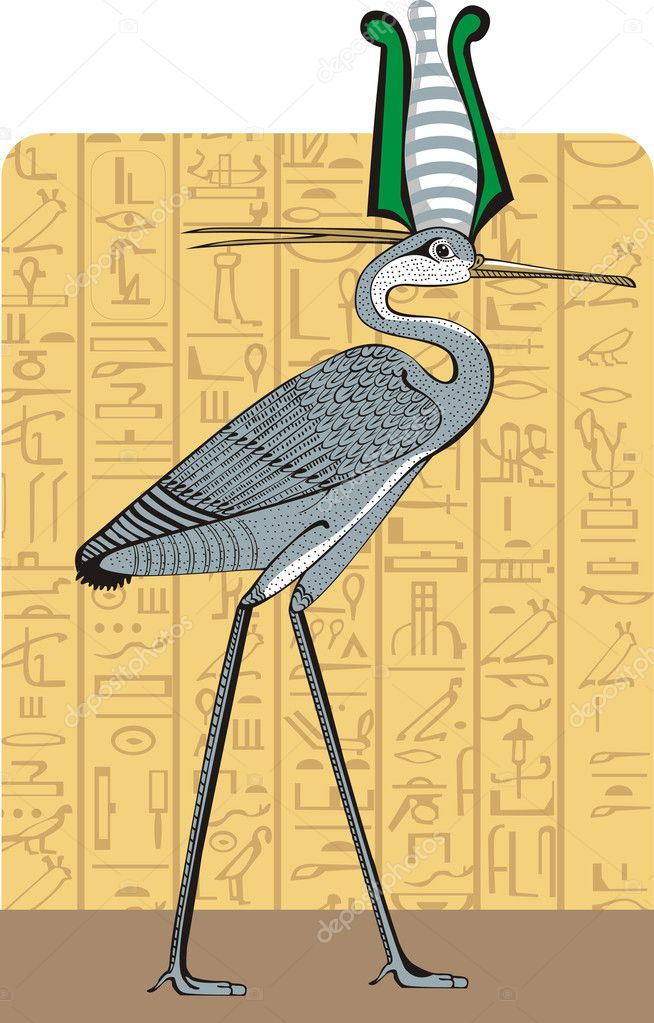 Ibis on Egypt background