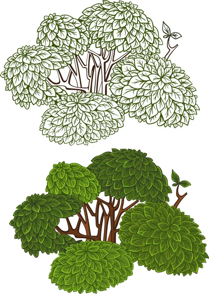 Verde contorno arbusto detalhado e cor — Vetor de Stock