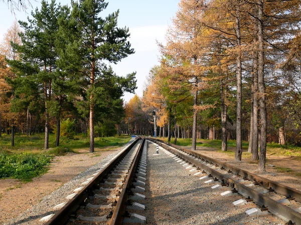 Järnvägen för barn i chelyabinsk park Stockbild