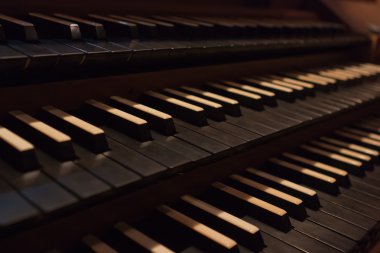 klavyeler ve organ yakın çekim anahtarları. bakış açısı