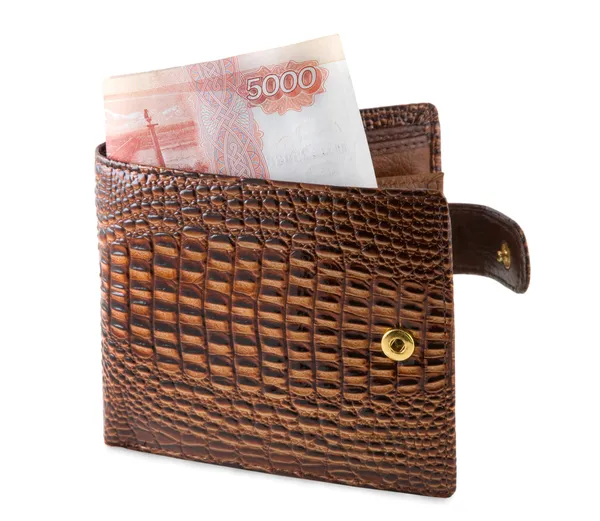 Brązowy portfel — Zdjęcie stockowe