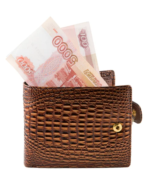 The brown purse — Stock Photo, Image