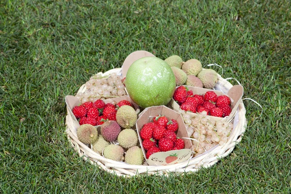Frutas exóticas — Fotografia de Stock