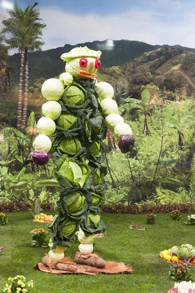 Cabbage man — Stock Photo, Image