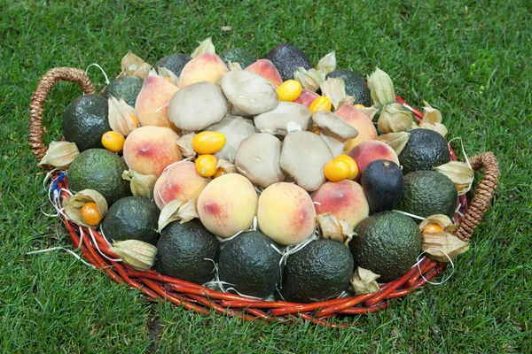 Mantar ve meyve — Stok fotoğraf