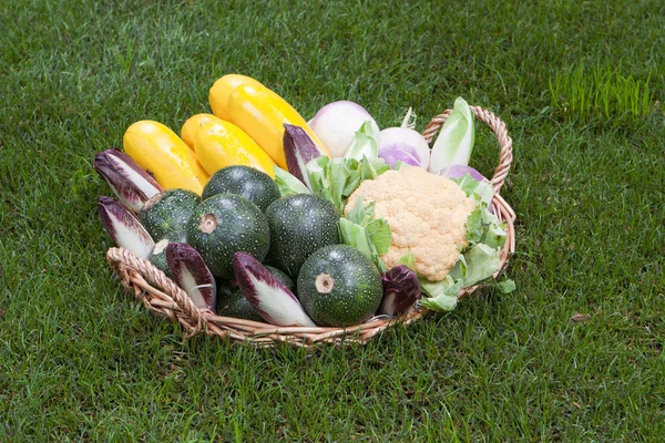 野菜の背景 — ストック写真
