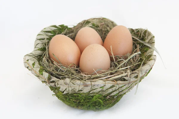 stock image Eggs