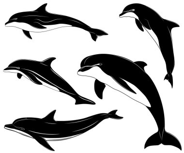 Set of various dolphins, tattoo clipart