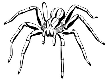 Spider in the form of a tattoo clipart