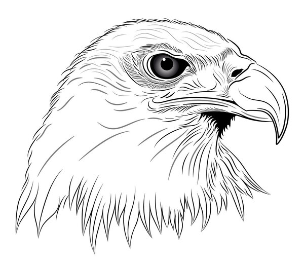 Абстрактный орёл в виде татуировки
