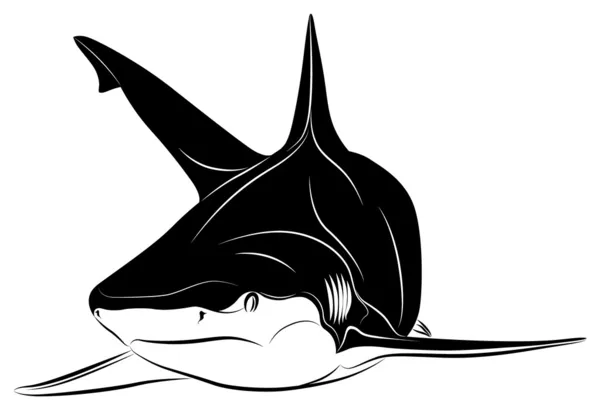 鲨鱼、 纹身 — 图库矢量图片