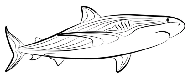 Köpekbalığı tribal tattoo — Stok Vektör