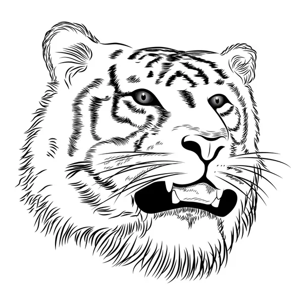 Faccia vettoriale di una tigre — Vettoriale Stock