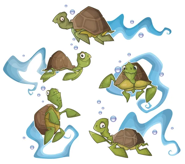 Schildkröten — Stockvektor