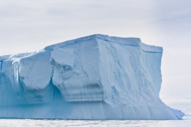 Antarctic iceberg clipart