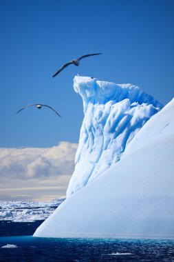 Antarctic iceberg clipart