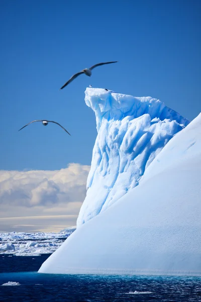 Iceberg antártico — Fotografia de Stock