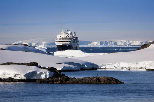 Круизные лайнеры в Антарктиде — стоковое фото