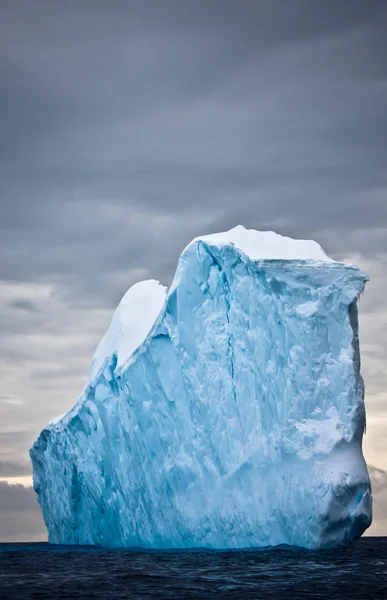 Enorma isberg i Antarktis Stockbild