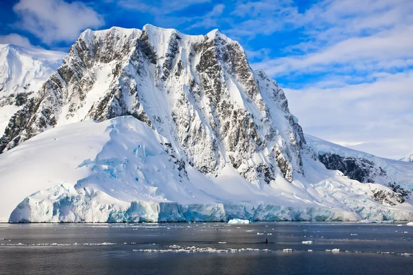 Góry pokryte śniegiem na Antarktydzie — Zdjęcie stockowe