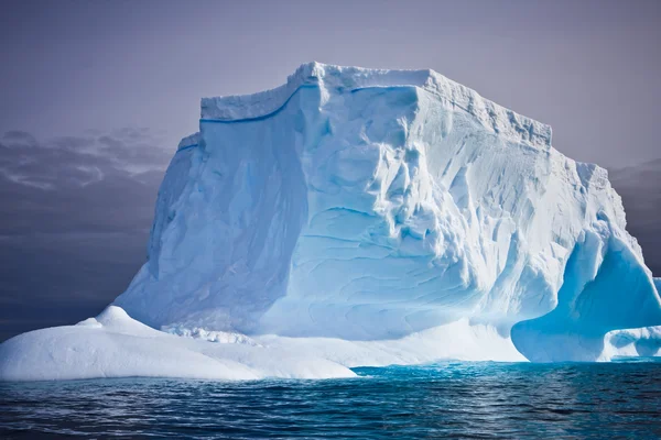 Iceberg Antártico Nieve — Foto de Stock