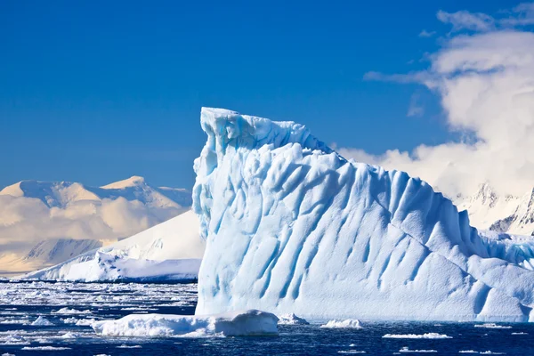 Iceberg Antartico Nella Neve — Foto Stock