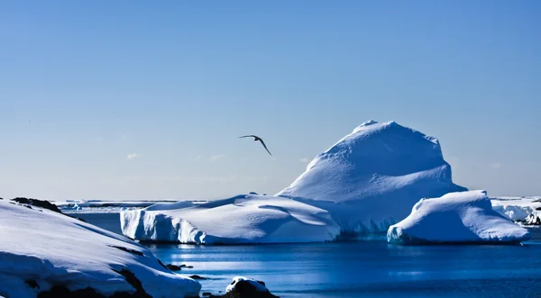 Antarktischer Eisberg Schnee — Stockfoto