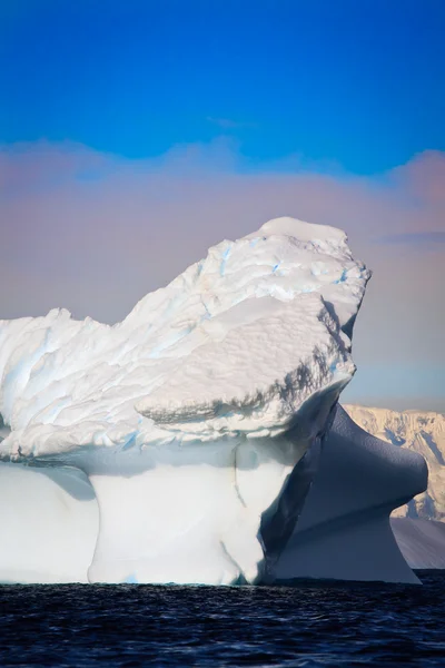 Αντιαρκτικό Παγόβουνο Στο Χιόνι — Φωτογραφία Αρχείου