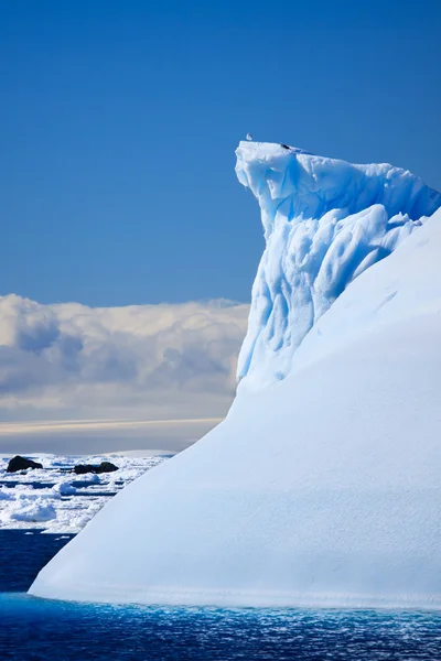 Antarctische Gletsjer Sneeuw — Stockfoto