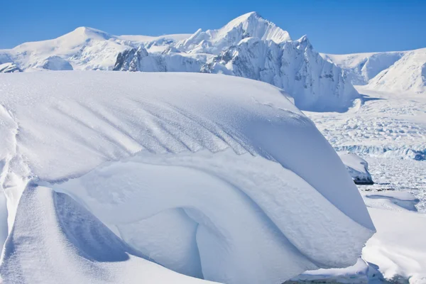 美丽雪山反对在南极洲的蓝色天空 — 图库照片