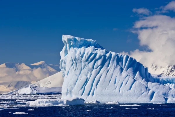 Ghiacciaio Antartico Nella Neve — Foto Stock
